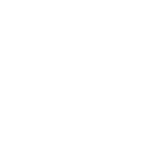 demo-image